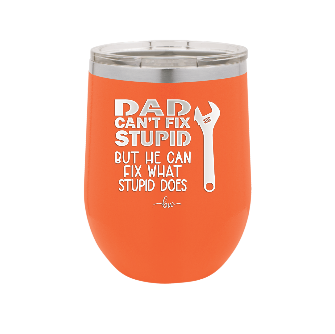 Dad Can't Fix Stupid But He Can Fix What Stupid Does - Laser Engraved Stainless Steel Drinkware - 2193 -