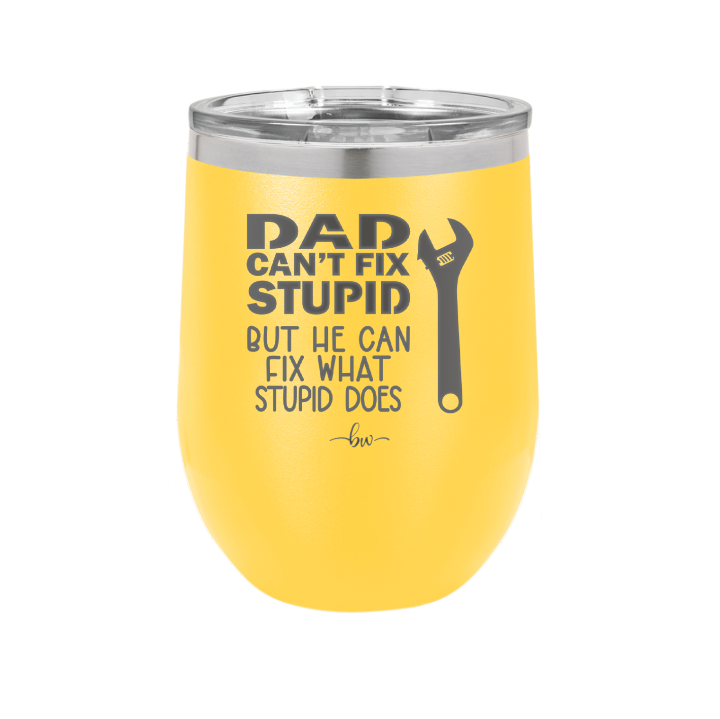 Dad Can't Fix Stupid But He Can Fix What Stupid Does - Laser Engraved Stainless Steel Drinkware - 2193 -