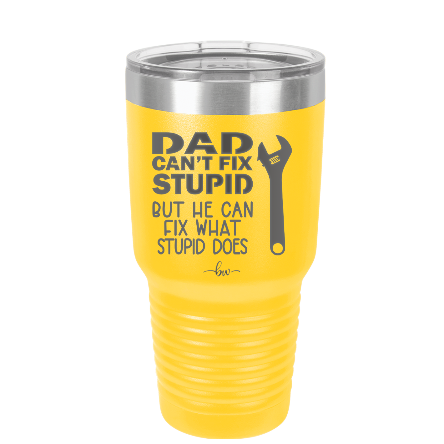 Dad Can't Fix Stupid But He Can Fix What Stupid Does - Laser Engraved Stainless Steel Drinkware - 2193 -