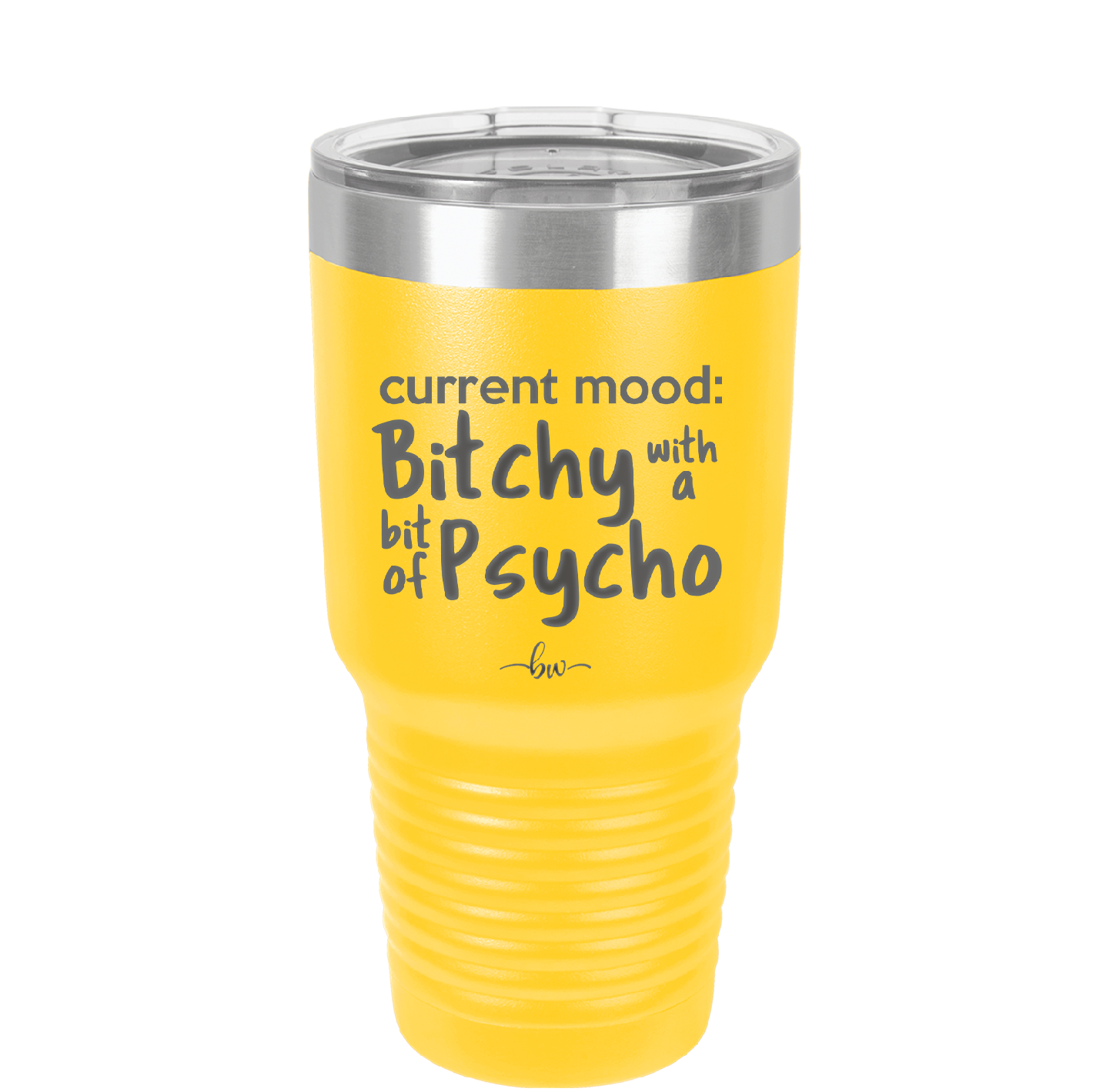 Current Mood: Bitchy with a Bit of Psycho - Laser Engraved Stainless Steel Drinkware - 2381 -