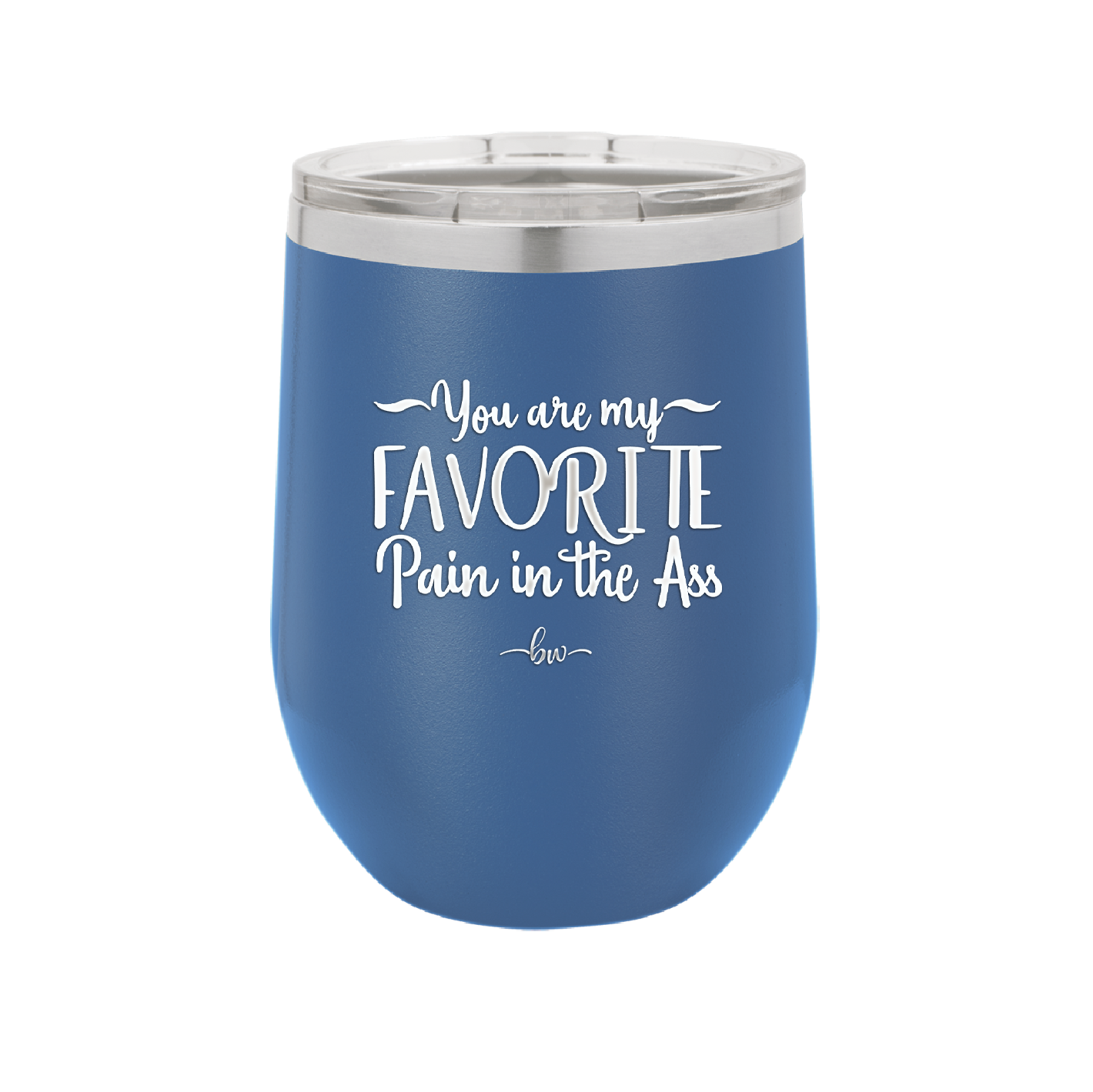 You are My Favorite Pain in the Ass - Laser Engraved Stainless Steel Drinkware - 2436 -