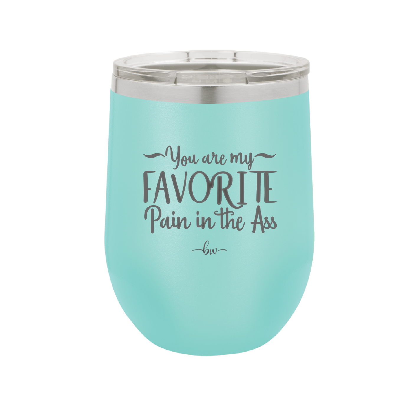 You are My Favorite Pain in the Ass - Laser Engraved Stainless Steel Drinkware - 2436 -