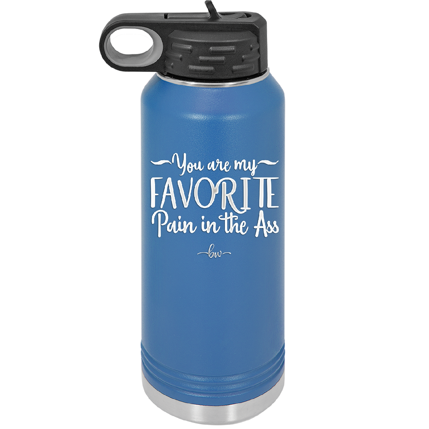 You are My Favorite Pain in the Ass - Laser Engraved Stainless Steel Drinkware - 2436 -